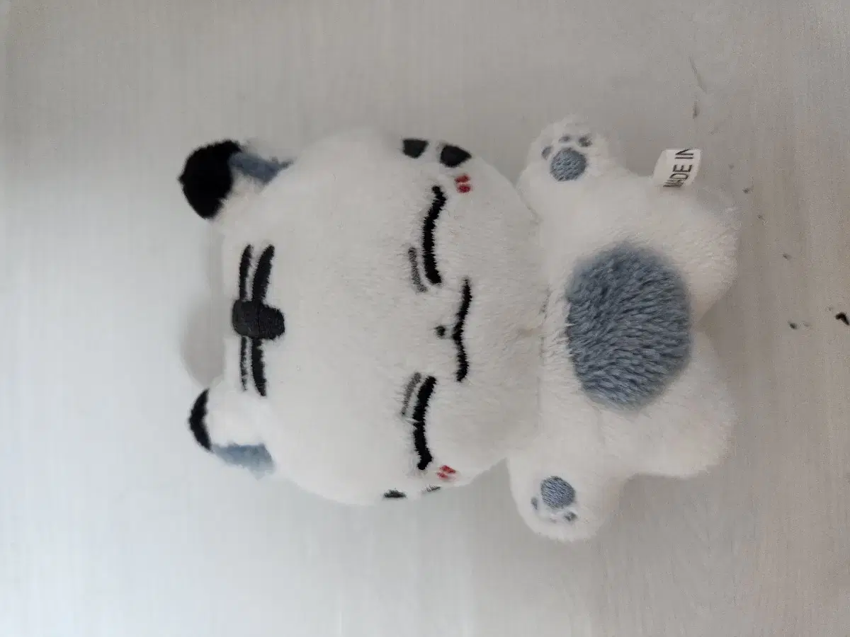 thumbnail-7